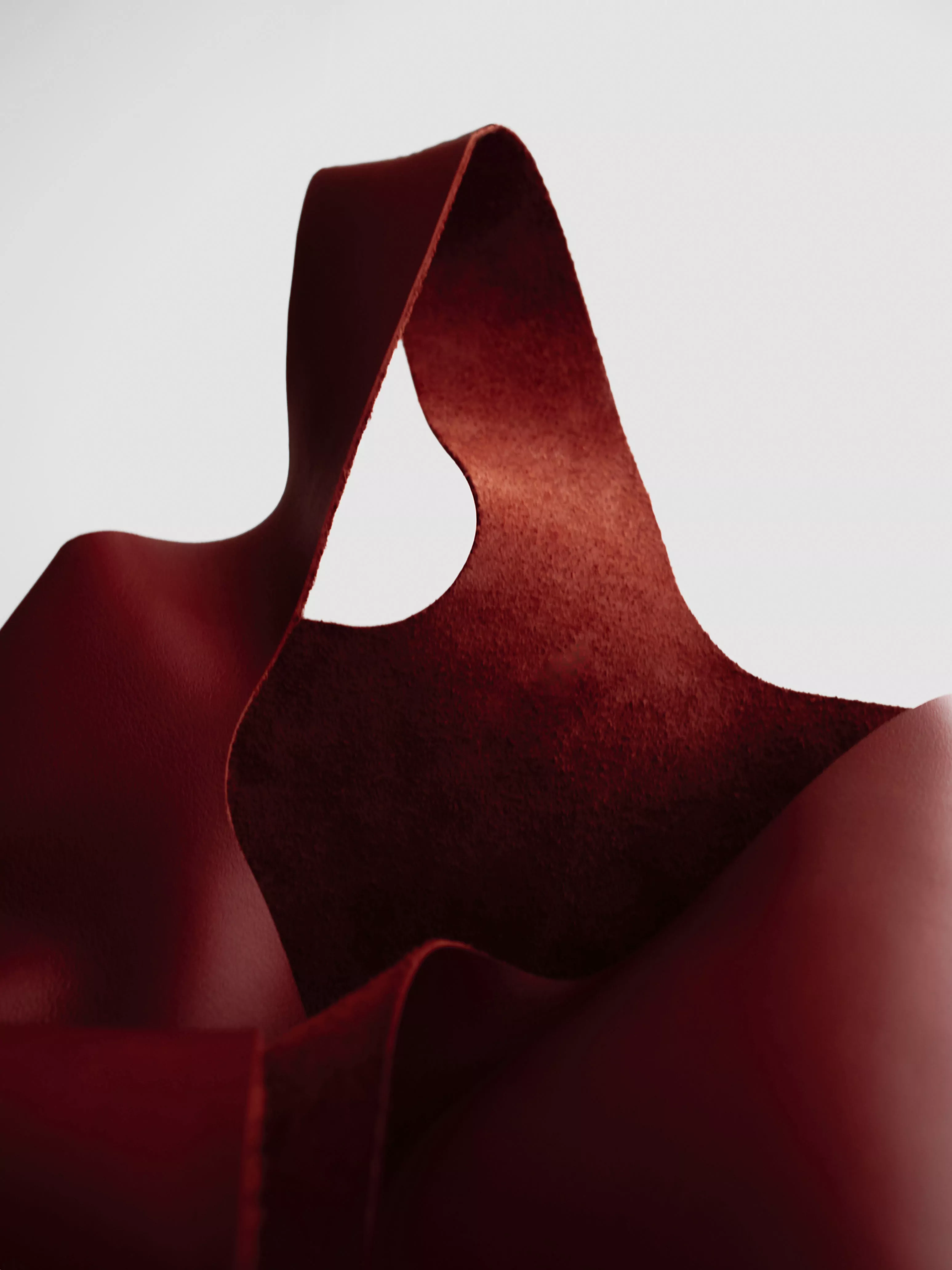 Saquito Teja - Imagen 3